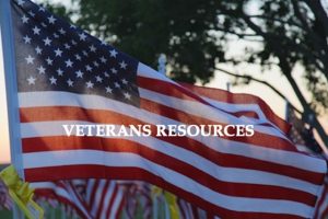 Petite Opera Productions Veterans Resources